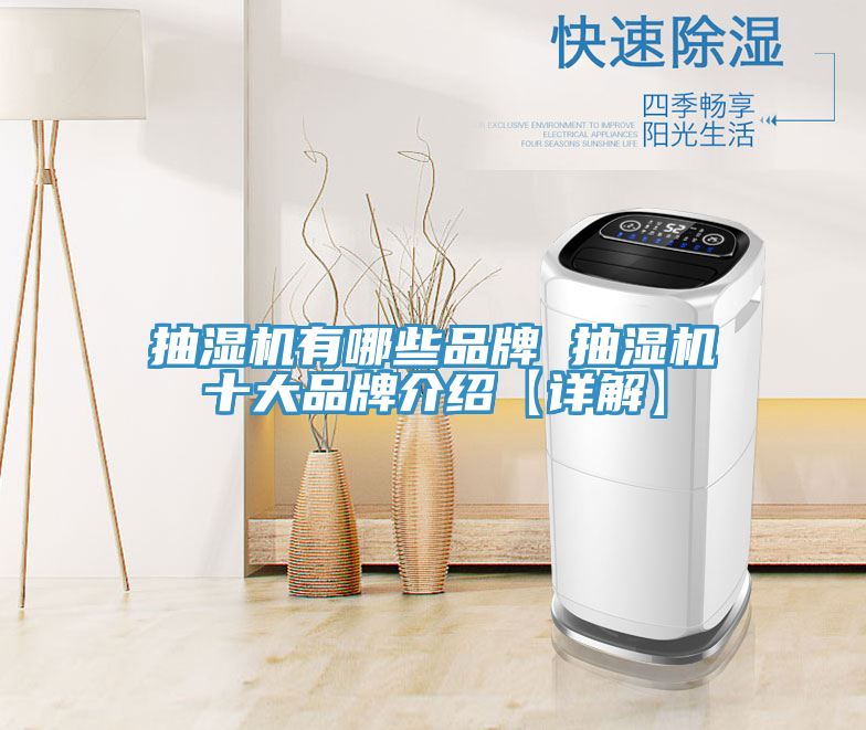 抽濕機有哪些品牌 抽濕機十大品牌介紹【詳解】