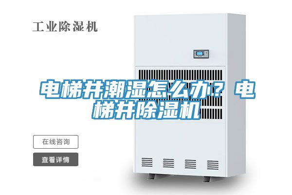 電梯井潮濕怎么辦？電梯井除濕機