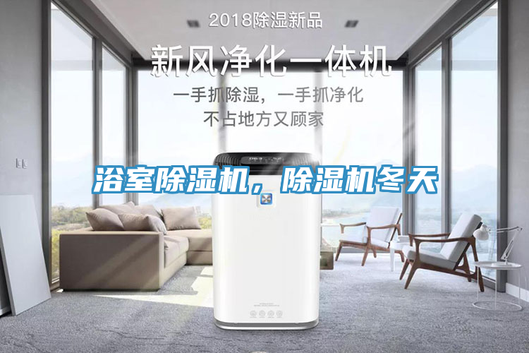 浴室除濕機，除濕機冬天