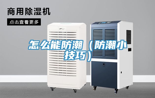 怎么能防潮（防潮小技巧）