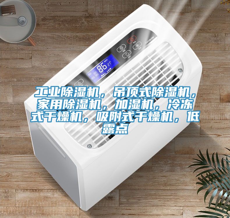 工業(yè)除濕機(jī),吊頂式除濕機(jī),家用除濕機(jī),加濕機(jī),冷凍式干燥機(jī),吸附式干燥機(jī),低露點