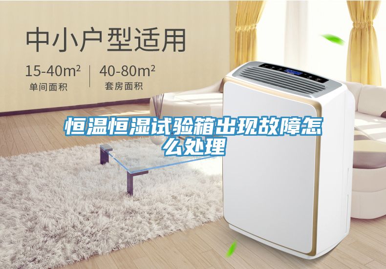 恒溫恒濕試驗箱出現故障怎么處理