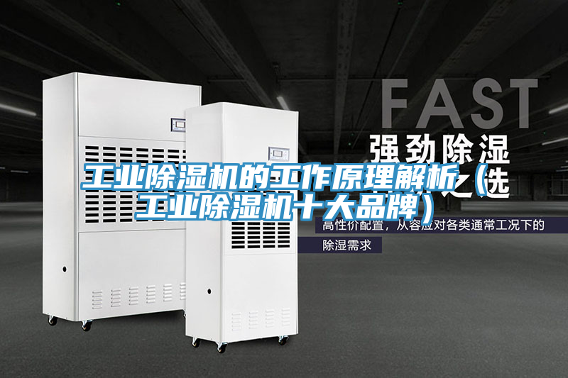 工業(yè)除濕機(jī)的工作原理解析(工業(yè)除濕機(jī)十大品牌)