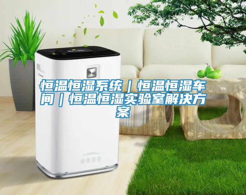 恒溫恒濕系統｜恒溫恒濕車間｜恒溫恒濕實驗室解決方案