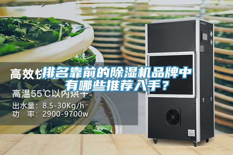 排名靠前的除濕機品牌中有哪些推薦入手？