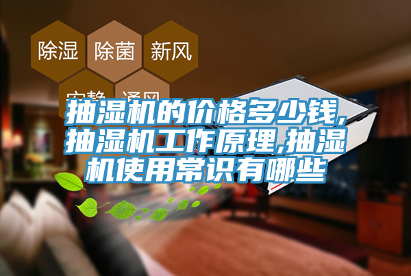 抽濕機(jī)的價(jià)格多少錢,抽濕機(jī)工作原理,抽濕機(jī)使用常識(shí)有哪些