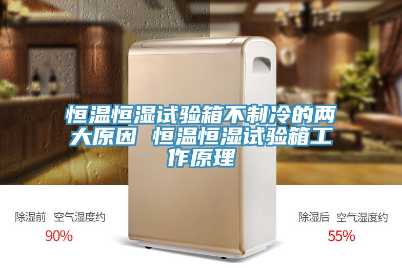 恒溫恒濕試驗箱不制冷的兩大原因 恒溫恒濕試驗箱工作原理
