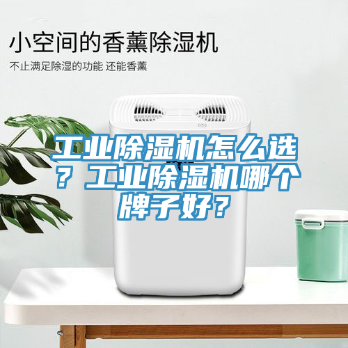 工業(yè)除濕機(jī)怎么選？工業(yè)除濕機(jī)哪個(gè)牌子好？