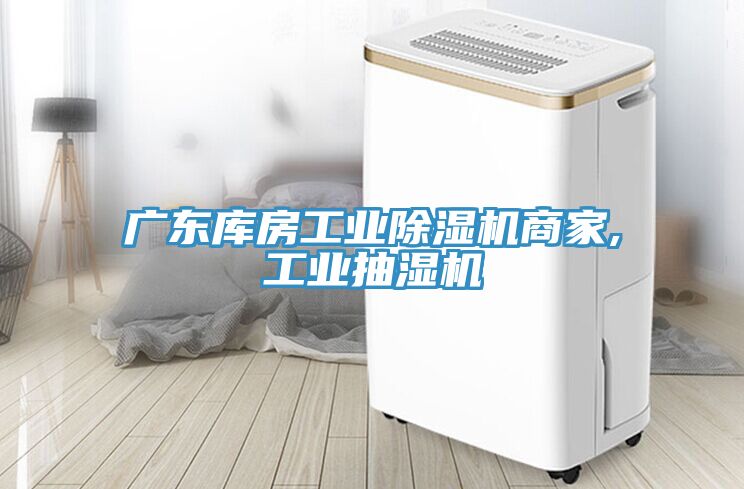 廣東庫(kù)房工業(yè)除濕機(jī)商家,工業(yè)抽濕機(jī)