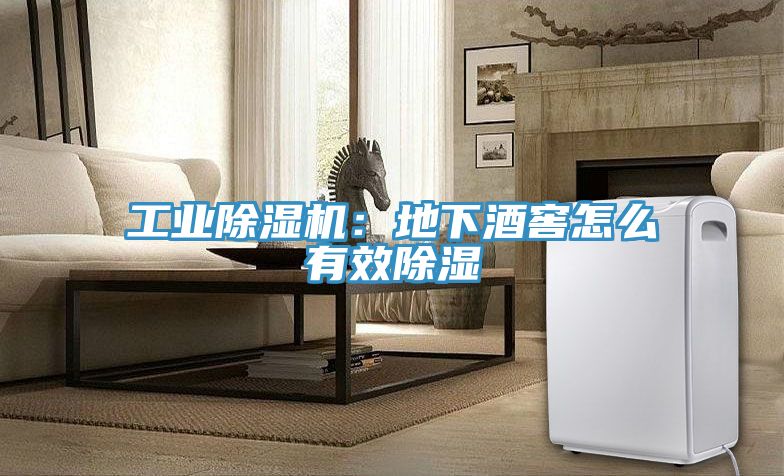 工業除濕機：地下酒窖怎么有效除濕