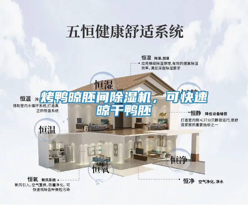 烤鴨晾胚間除濕機，可快速晾干鴨胚
