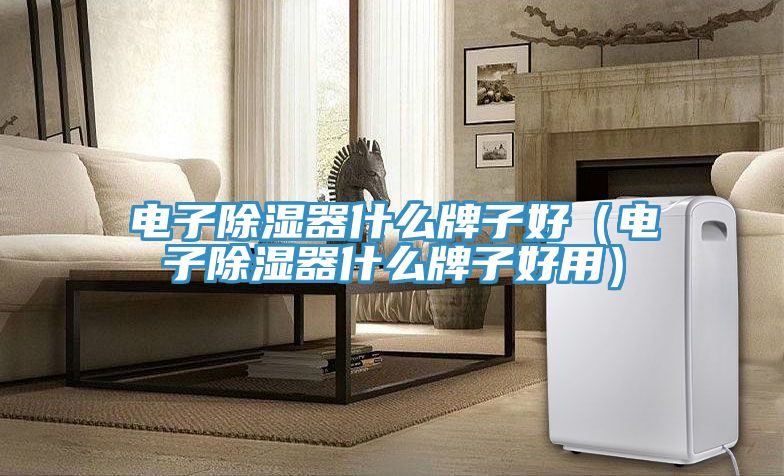 電子除濕器什么牌子好(電子除濕器什么牌子好用)