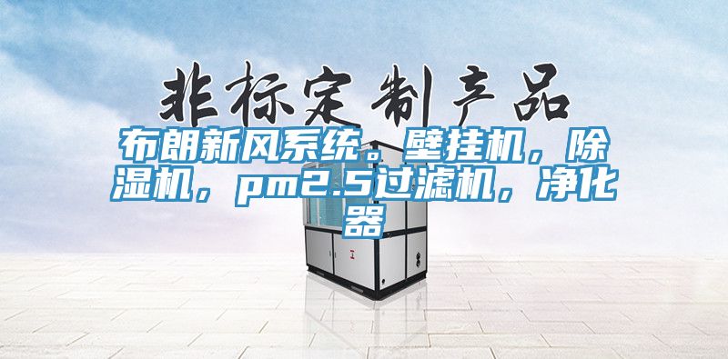 布朗新風系統。壁掛機，除濕機，pm2.5過濾機，凈化器