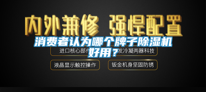 消費(fèi)者認(rèn)為哪個牌子除濕機(jī)好用？