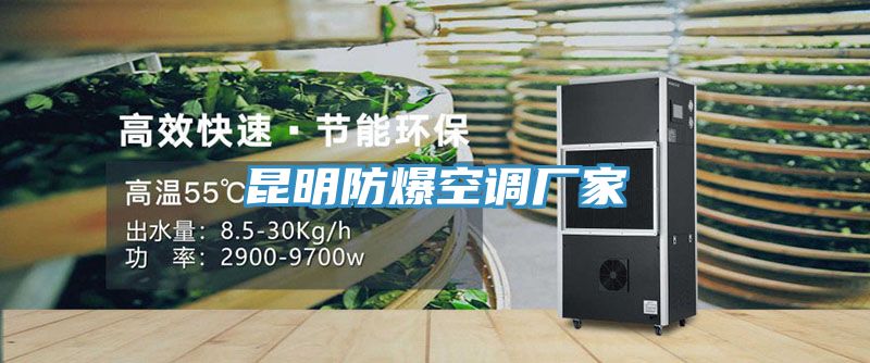 昆明防爆空調廠家