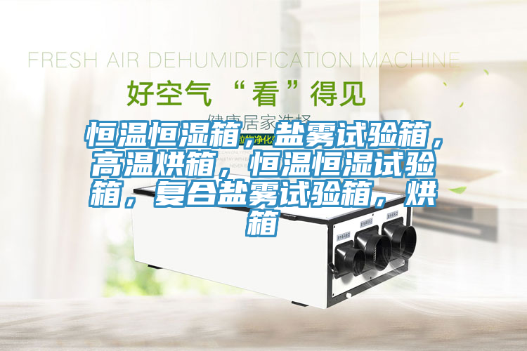 恒溫恒濕箱，鹽霧試驗(yàn)箱，高溫烘箱，恒溫恒濕試驗(yàn)箱，復(fù)合鹽霧試驗(yàn)箱，烘箱