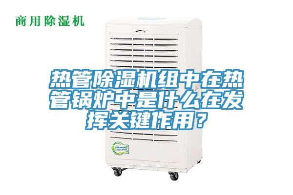 熱管除濕機(jī)組中在熱管鍋爐中是什么在發(fā)揮關(guān)鍵作用？
