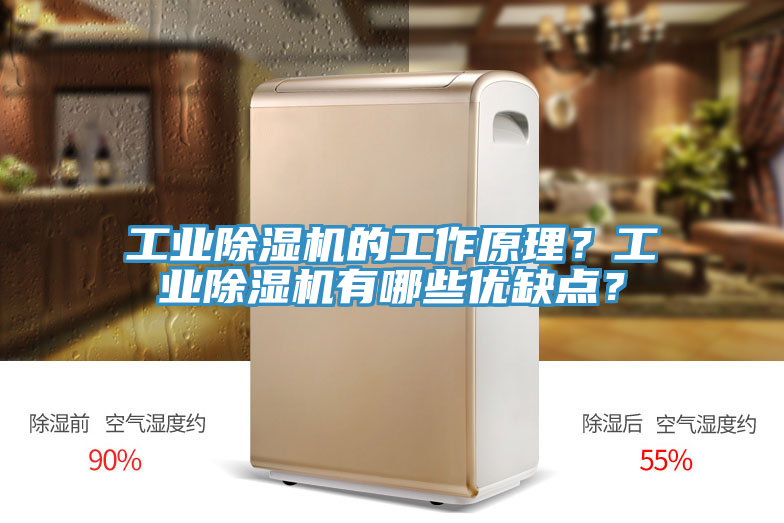 工業(yè)除濕機(jī)的工作原理?工業(yè)除濕機(jī)有哪些優(yōu)缺點(diǎn)?