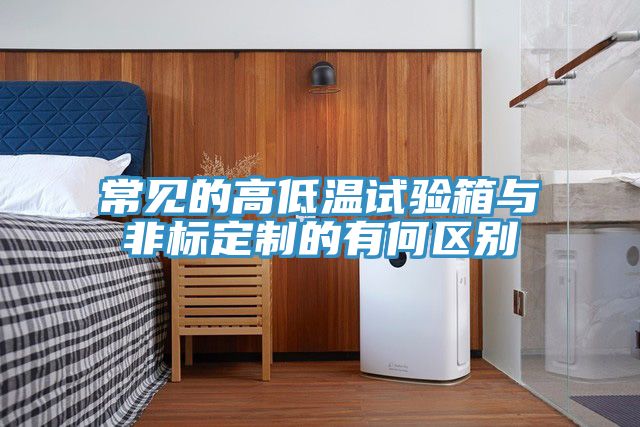 常見的高低溫試驗箱與非標定制的有何區別
