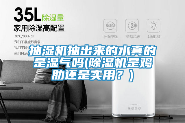 抽濕機抽出來的水真的是濕氣嗎(除濕機是雞肋還是實用?)