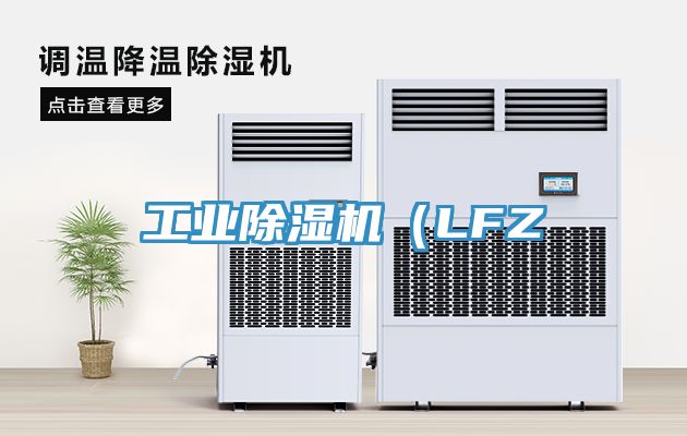 工業(yè)除濕機(jī)(LFZ