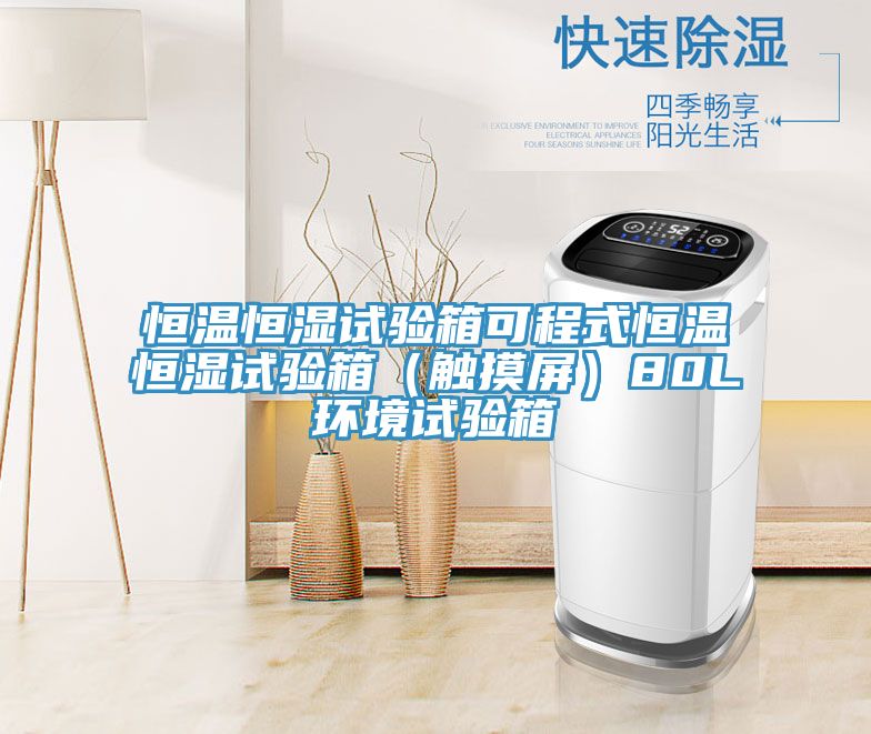 恒溫恒濕試驗箱可程式恒溫恒濕試驗箱（觸摸屏）80L環境試驗箱