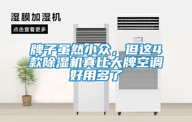 牌子雖然小眾，但這4款除濕機真比大牌空調(diào)好用多了