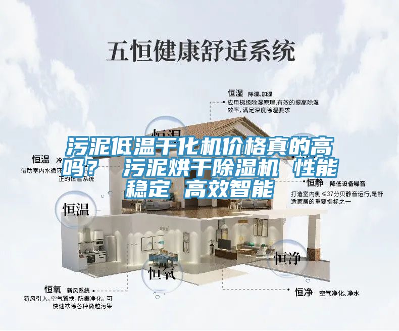 污泥低溫干化機價格真的高嗎？ 污泥烘干除濕機 性能穩定 高效智能