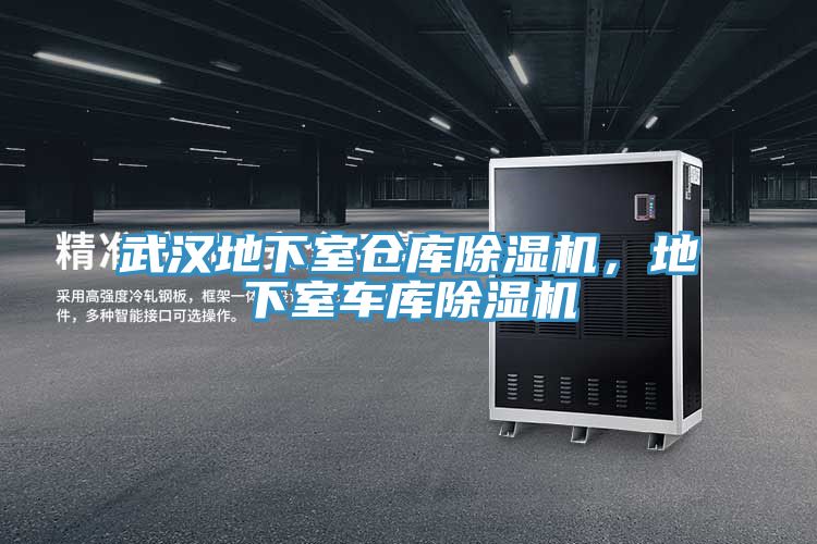 武漢地下室倉庫除濕機，地下室車庫除濕機
