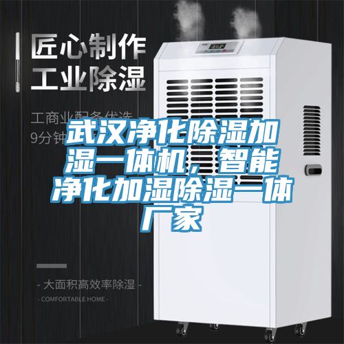 武漢凈化除濕加濕一體機，智能凈化加濕除濕一體廠家