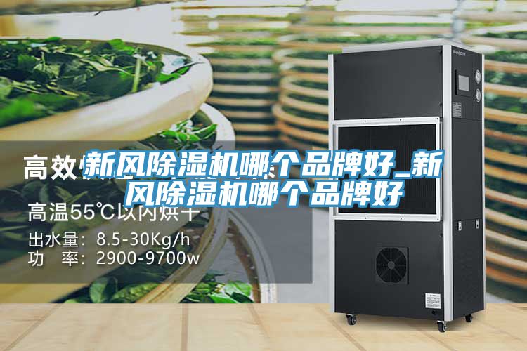 新風(fēng)除濕機(jī)哪個品牌好_新風(fēng)除濕機(jī)哪個品牌好