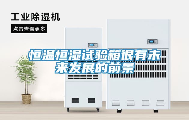 恒溫恒濕試驗箱很有未來發展的前景