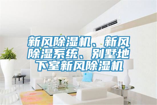 新風(fēng)除濕機(jī)、新風(fēng)除濕系統(tǒng)、別墅地下室新風(fēng)除濕機(jī)