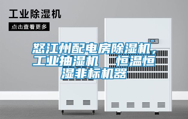怒江州配電房除濕機，工業抽濕機  恒溫恒濕非標機器