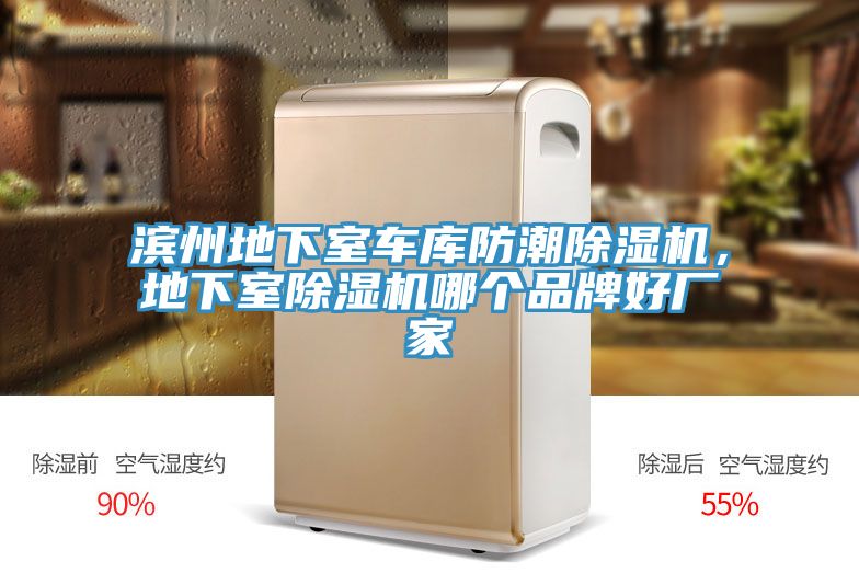 濱州地下室車庫防潮除濕機，地下室除濕機哪個品牌好廠家
