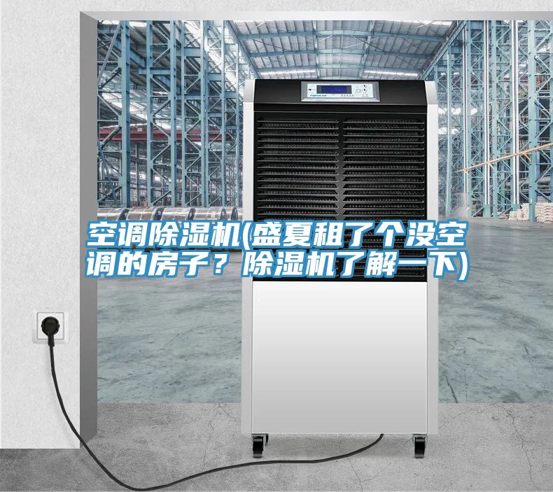 空調(diào)除濕機(盛夏租了個沒空調(diào)的房子？除濕機了解一下)