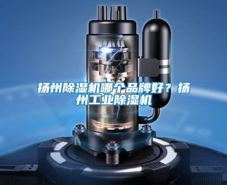揚(yáng)州除濕機(jī)哪個(gè)品牌好？揚(yáng)州工業(yè)除濕機(jī)