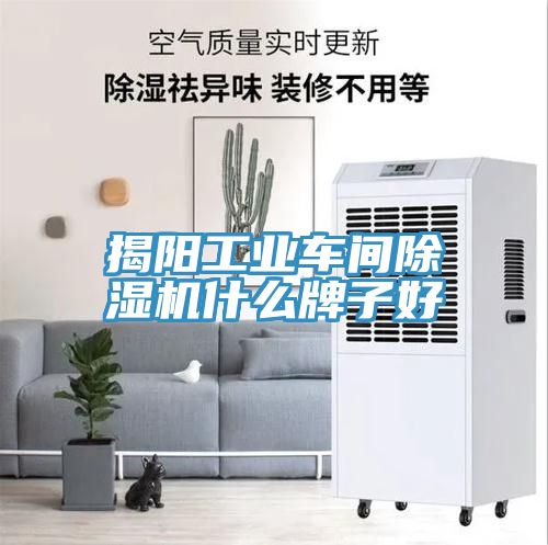 揭陽工業車間除濕機什么牌子好