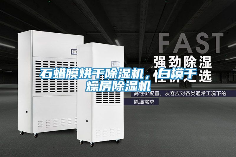 石蠟?zāi)ず娓沙凉駲C,白模干燥房除濕機