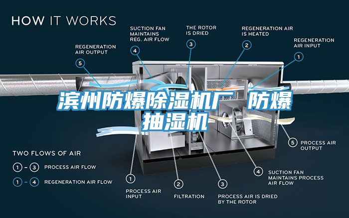 濱州防爆除濕機廠 防爆抽濕機