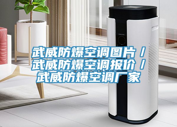 武威防爆空調圖片／武威防爆空調報價／武威防爆空調廠家