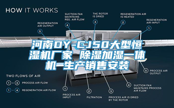 河南DY-CJ50大型恒濕機廠家 除濕加濕一體機 生產銷售安裝