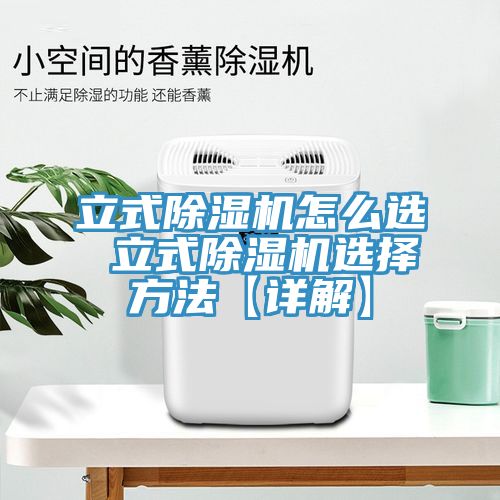 立式除濕機怎么選 立式除濕機選擇方法【詳解】