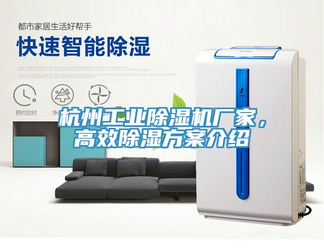 杭州工業(yè)除濕機廠家，高效除濕方案介紹