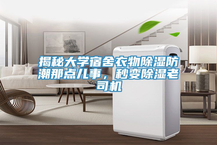 揭秘大學宿舍衣物除濕防潮那點兒事，秒變除濕老司機