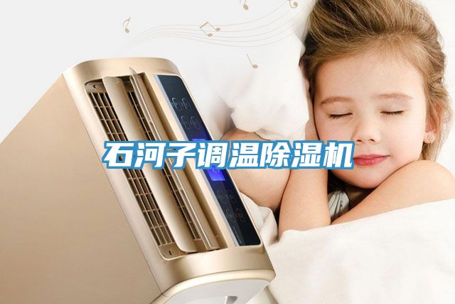 石河子調(diào)溫除濕機