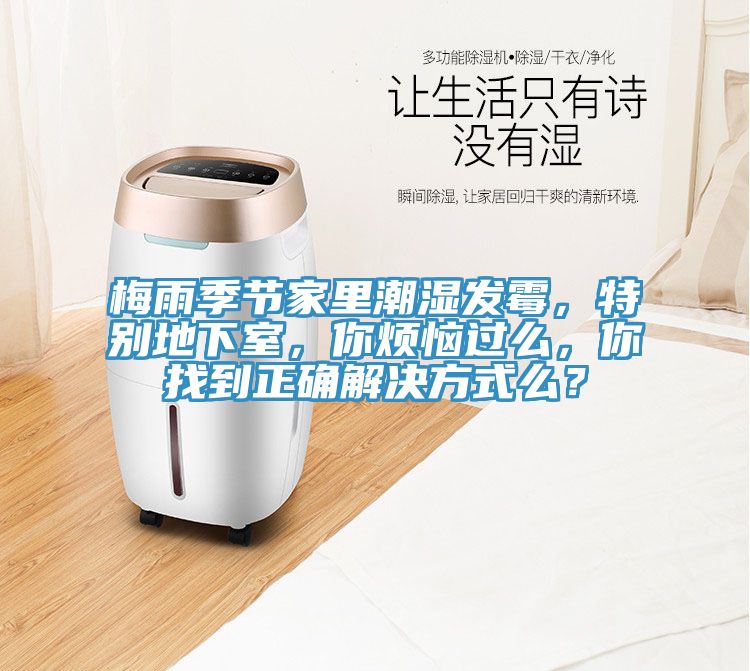 梅雨季節(jié)家里潮濕發(fā)霉，特別地下室，你煩惱過么，你找到正確解決方式么？