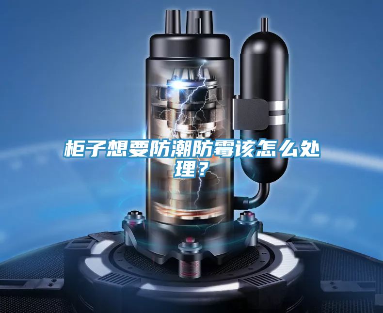 柜子想要防潮防霉該怎么處理？