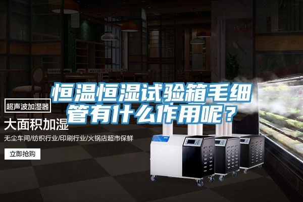 恒溫恒濕試驗箱毛細(xì)管有什么作用呢？
