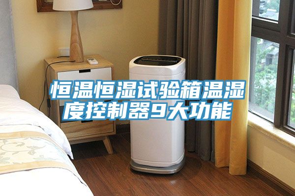 恒溫恒濕試驗箱溫濕度控制器9大功能